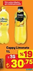 CAPPY LİMONATA 1 L CAPPY LİMONATA 1 L